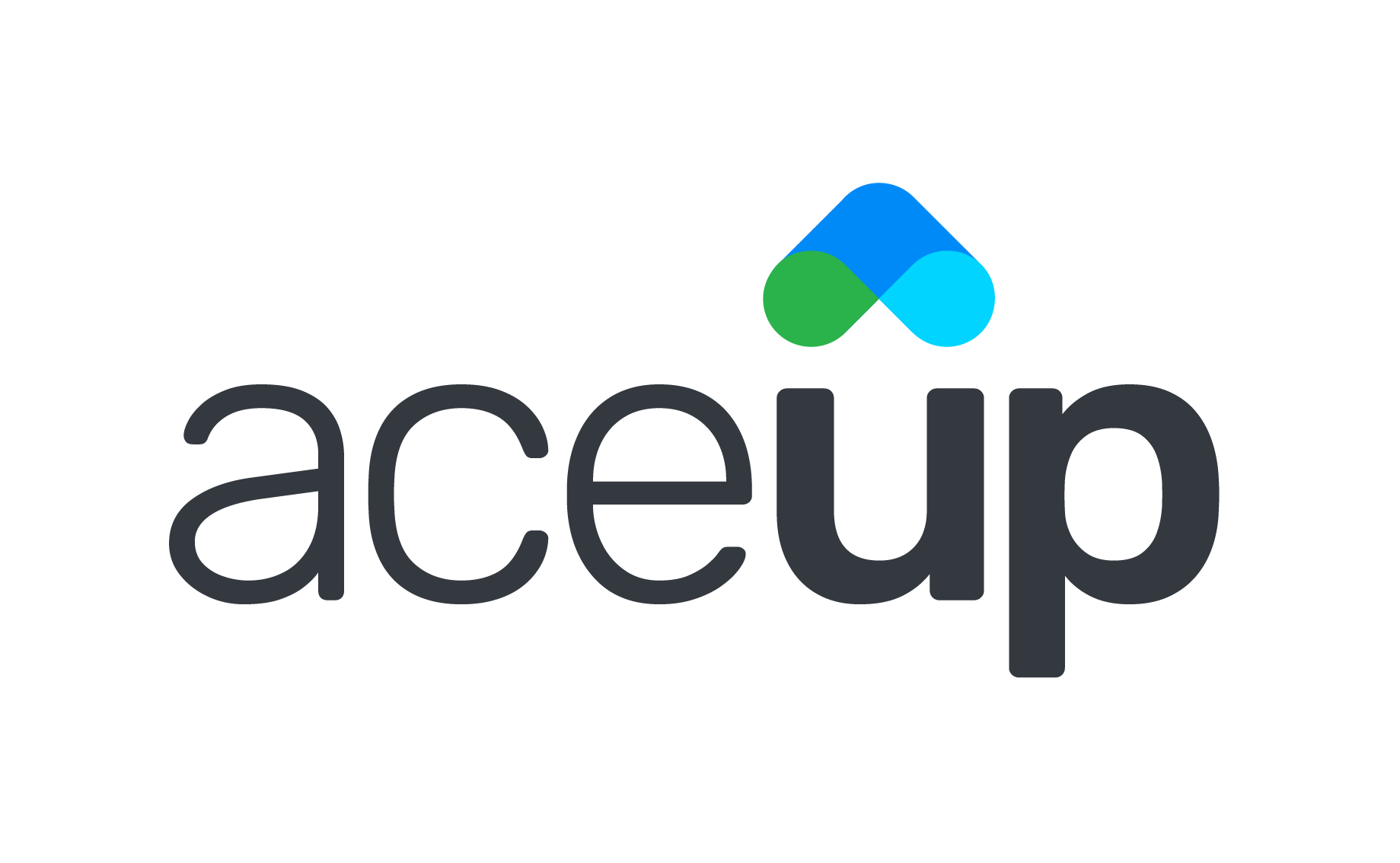 Coaching for Leaders, Teams & Organizations _ AceUp