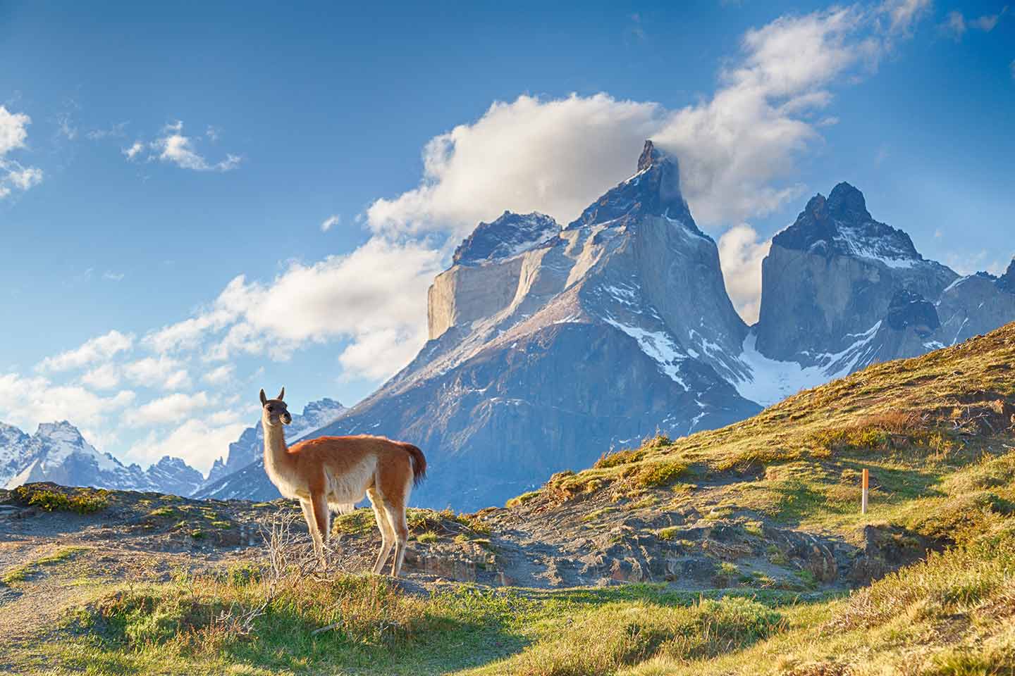 view of chile patagonia moutain 