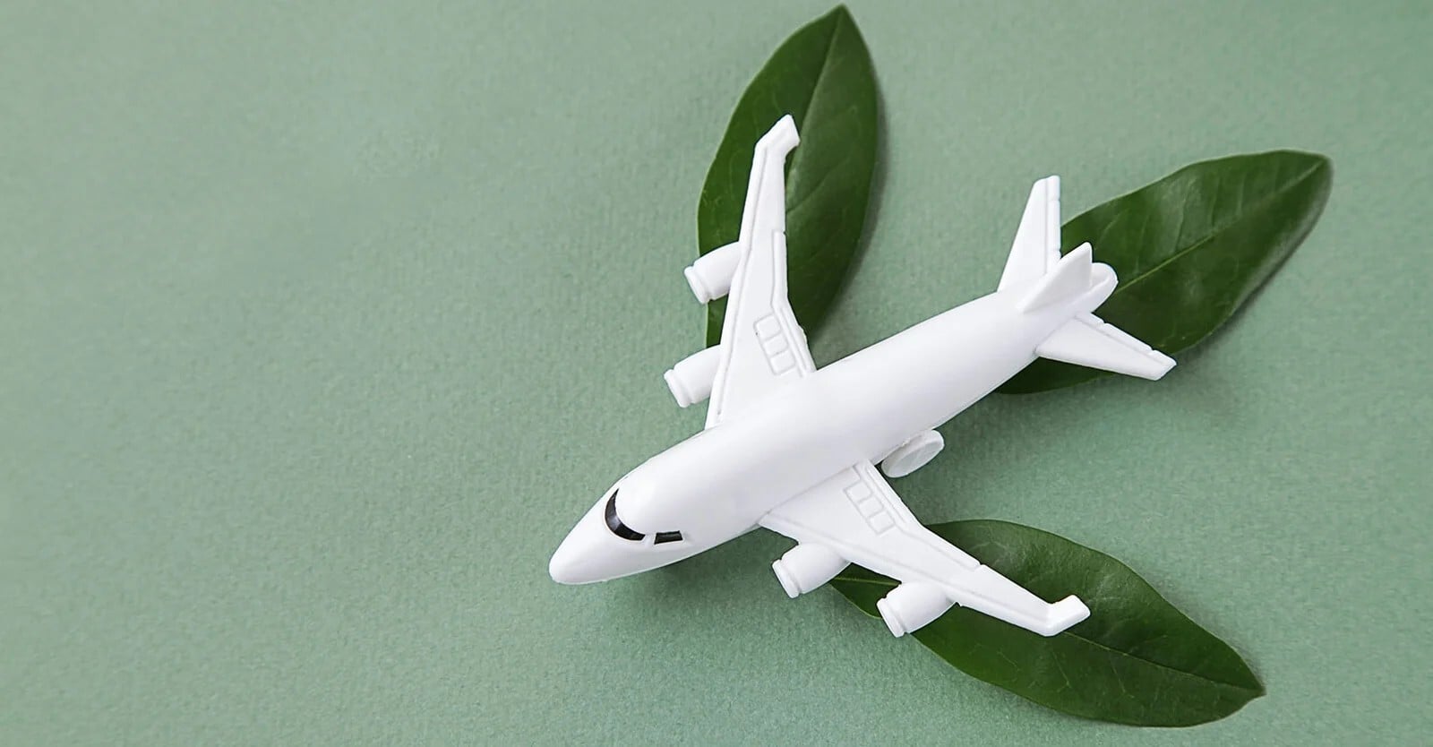 plane above plants