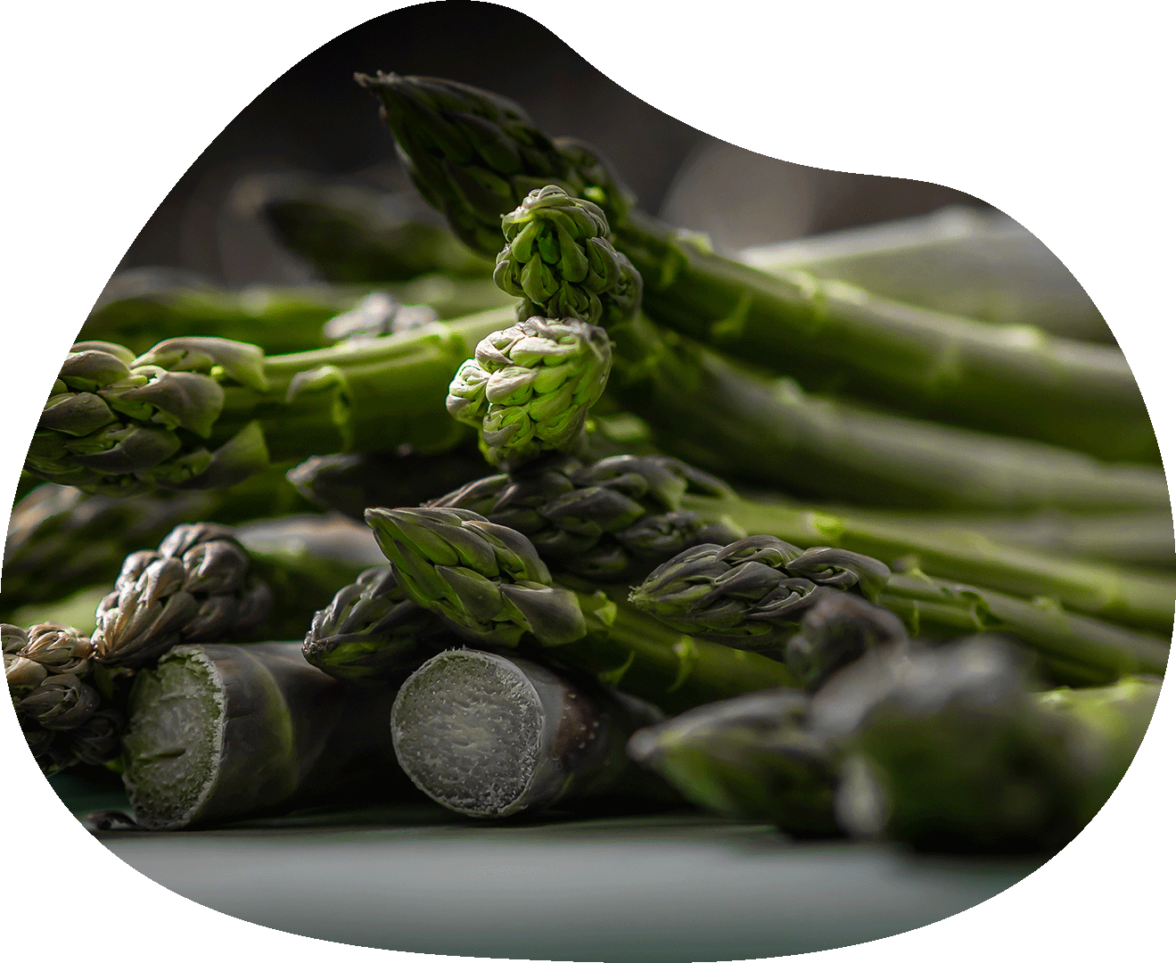 asperges_bds_saison