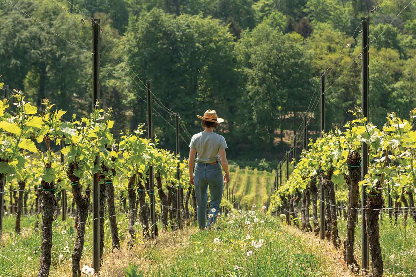 women-wine-industry